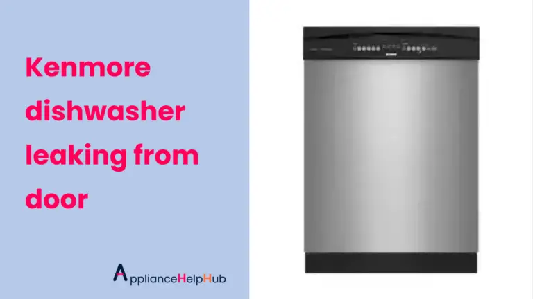 Kenmore dishwasher leaking from door