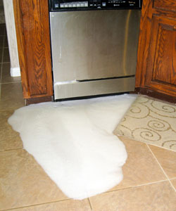 Kenmore dishwasher leaking from door